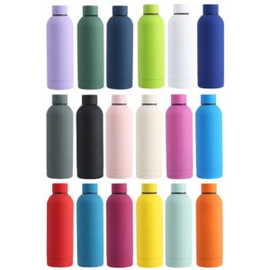 Single Wall Stainless Steel Bottle 500ml